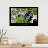 "Allison's Pond" - Afdrukken (geen schaduw) Poster (Keuken)