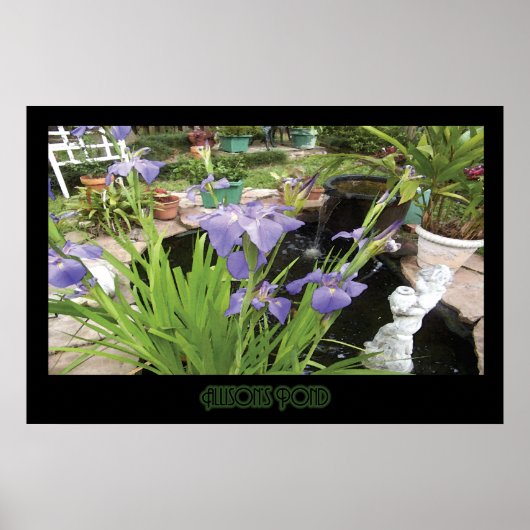 "Allison's Pond" - Afdrukken (geen schaduw) Poster (Voorkant)