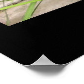 "Allison's Pond" - Afdrukken (geen schaduw) Poster (Hoek)