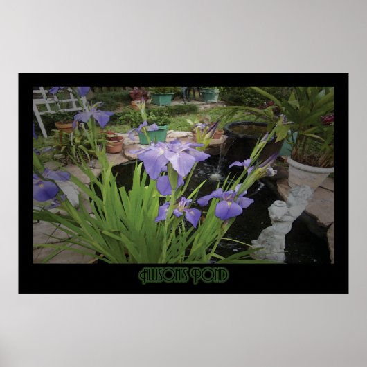 "Allison's Pond" - Afdrukken Poster (Voorkant)