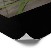 "Allison's Pond" - Afdrukken Poster (Hoek)