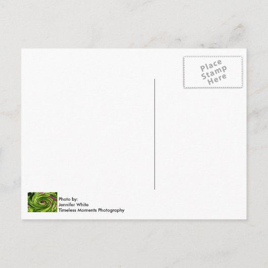 Allium Abstract Briefkaart (Achterkant)