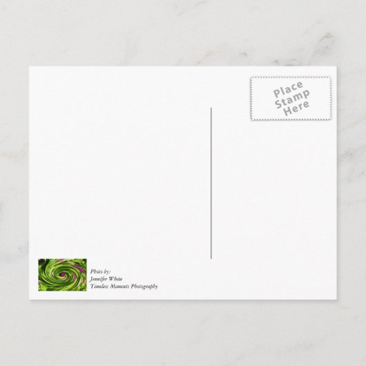 Allium Abstract Briefkaart (Achterkant)