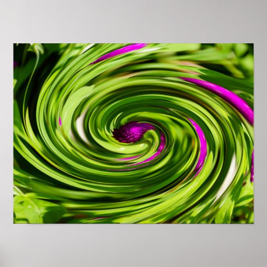 Allium Abstract Poster (Voorkant)
