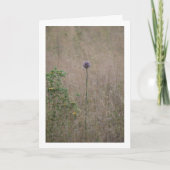 Allium, Allium ampeloprasum, Wilde prei Kaart (Voorkant)