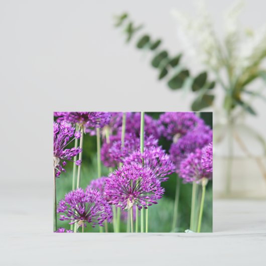 Allium bloemen briefkaart (Staand voorkant)