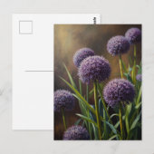 Allium bloemen briefkaart (Voorkant / Achterkant)