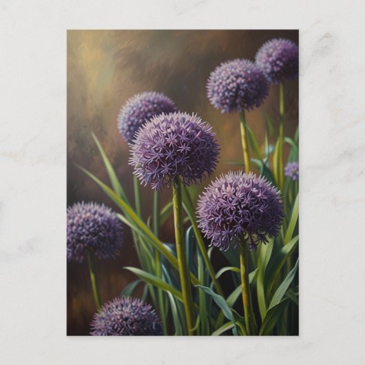 Allium bloemen briefkaart (Voorkant)
