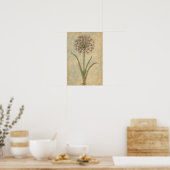Allium Botanische Kunstprint Poster (Keuken)