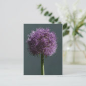 Allium Briefkaart (Staand voorkant)