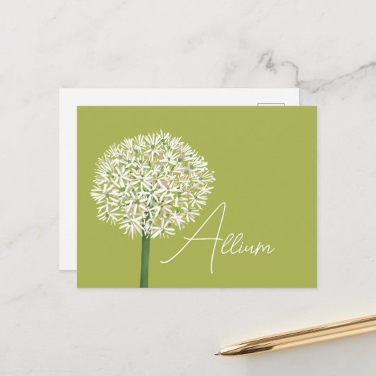  Allium Flower Botanical Art | Elegant Flora Briefkaart (Voorkant / Achterkant in situ)