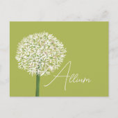  Allium Flower Botanical Art | Elegant Flora Briefkaart (Voorkant)