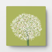  Allium Flower Botanical Art | Elegant Flora Fotoplaat (Voorkant)