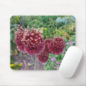 Allium Flowering Onion-Planten Muismat (Met muis)