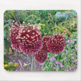 Allium Flowering Onion-Planten Muismat