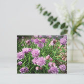 Allium Flowers Briefkaart (Staand voorkant)