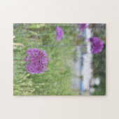 Allium Flowers Stratford-Upon-Avon Warwickshire UK Legpuzzel (Horizontaal)