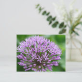 Allium giganteum briefkaart (Staand voorkant)