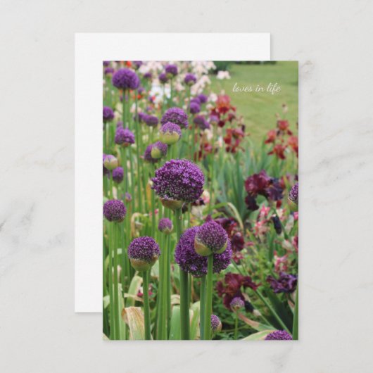 Allium & Iris Bloembed Notitiekaartje (Voorkant / Achterkant)