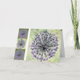 Allium Kaart