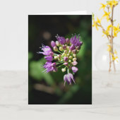 Allium, kaart (Gele Bloem)