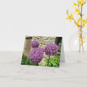 Allium-kaart (leeg) kaart