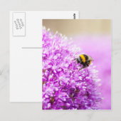 Allium met bijen briefkaart (Voorkant / Achterkant)