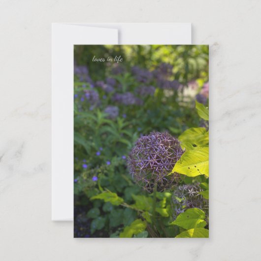 Allium Notitiekaartje (Voorkant)