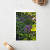Allium Notitiekaartje (Voorkant / Achterkant in situ)