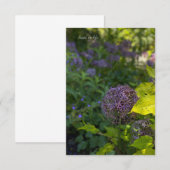 Allium Notitiekaartje (Voorkant / Achterkant)
