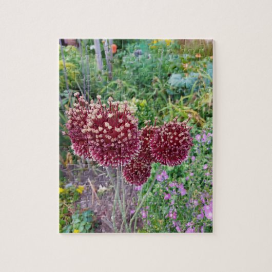 Allium Onion Plant Legpuzzel (Verticaal)
