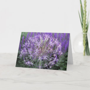 Allium/Salvia Kaart