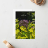 Allium verbergen notitiekaartje (Voorkant / Achterkant in situ)