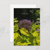 Allium verbergen notitiekaartje (Voorkant / Achterkant)