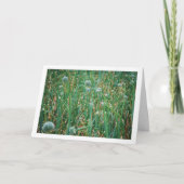 Allium, wilde uienbloesem kaart (Voorkant)