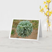Allium, wilde uienbloesem kaart (Gele Bloem)