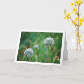 Allium, wilde uienbloesem kaart (Gele Bloem)