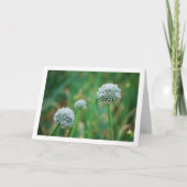 Allium, wilde uienbloesem kaart (Voorkant)