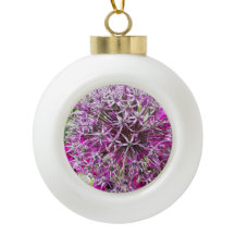 Allium & Zomerbloemen