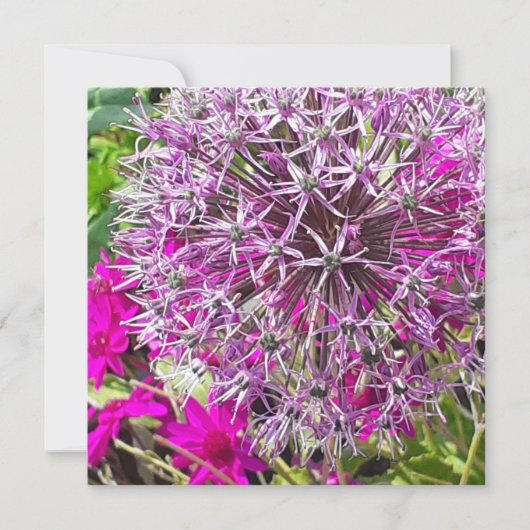 Allium & Zomerbloemen Platte Kaart (Voorkant)