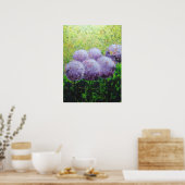 Alliums bij Laycock 18inx24in de Steen van het Pos Poster (Keuken)