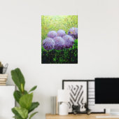 Alliums bij Laycock 18inx24in de Steen van het Pos Poster (Thuiskantoor)