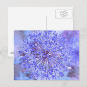 Alliumventiel in blauw briefkaart (Voorkant / Achterkant)