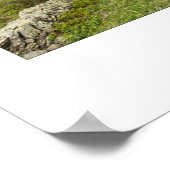 Allmendhubel, Zwitserland - Wall Print (Hoek)