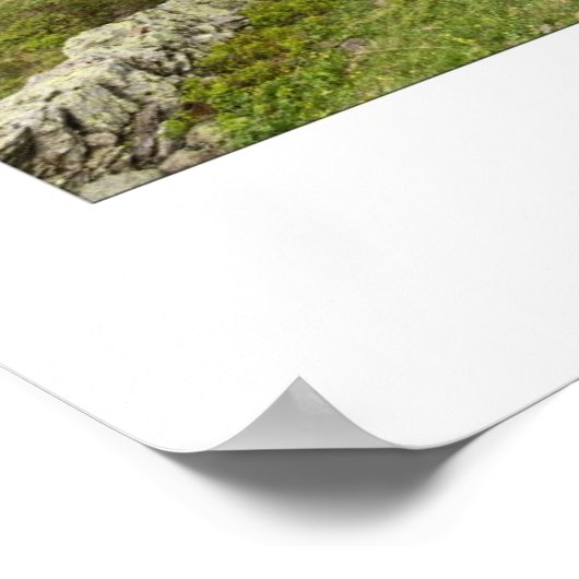 Allmendhubel, Zwitserland - Wall Print (Hoek)