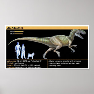 Allosaurus - Biologie Juratijd Poster