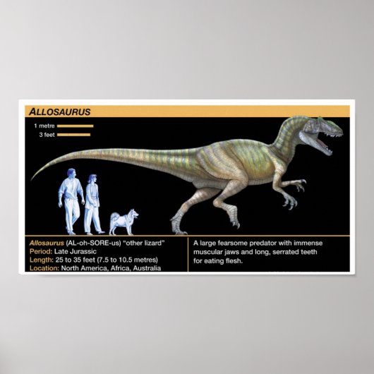 Allosaurus - Biology Jurassic Poster (Voorkant)