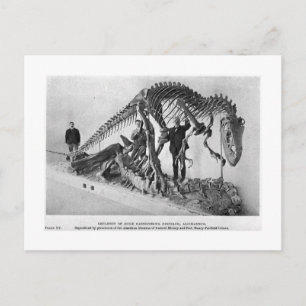 Allosaurus skeleton art briefkaart