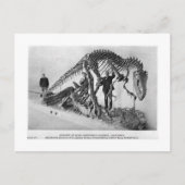 Allosaurus skeleton art briefkaart (Voorkant)