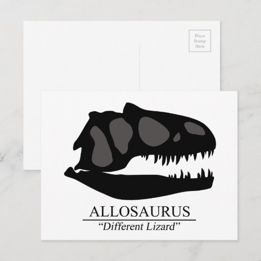 Allosaurus Skull Briefkaart (Voorkant / Achterkant)
